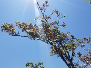 20190415_123043