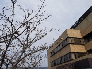20200322_114109