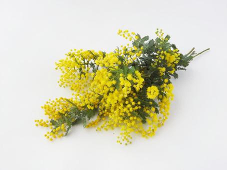 黄色い花 高知の結婚式 披露宴はセリーズ ウェディング Chres Wedding